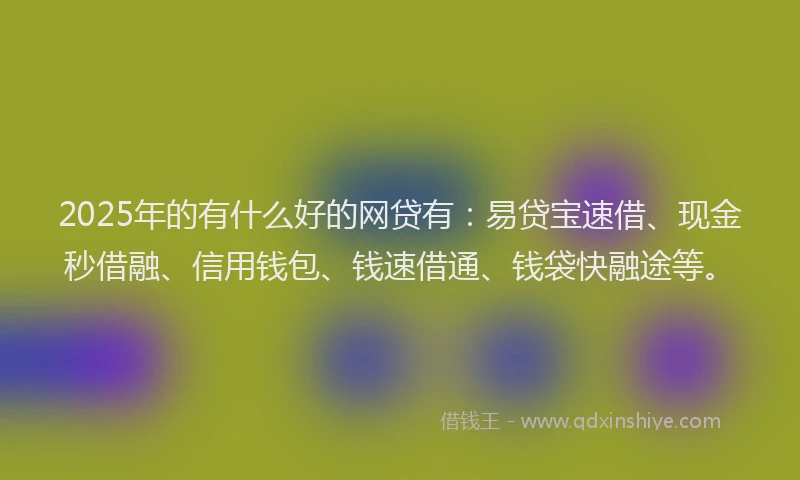 2025年的有什么好的网贷有：易贷宝速借、现金秒借融、信用钱包、钱速借通、钱袋快融途等。