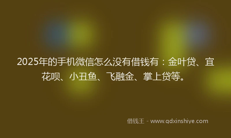 2025年的手机微信怎么没有借钱有：金叶贷、宜花呗、小丑鱼、飞融金、掌上贷等。