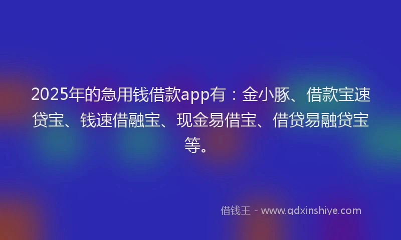 2025年的急用钱借款app有：金小豚、借款宝速贷宝、钱速借融宝、现金易借宝、借贷易融贷宝等。