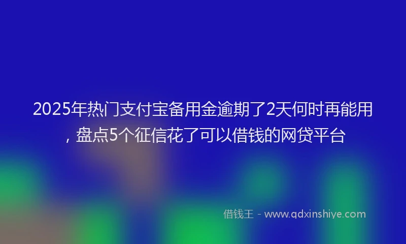 2025年热门支付宝备用金逾期了2天何时再能用，盘点5个征信花了可以借钱的网贷平台