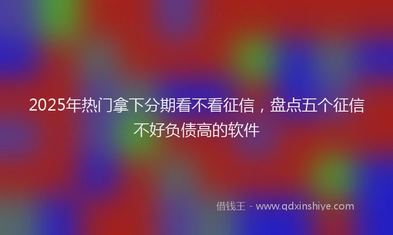 2025年热门拿下分期看不看征信，盘点五个征信不好负债高的软件