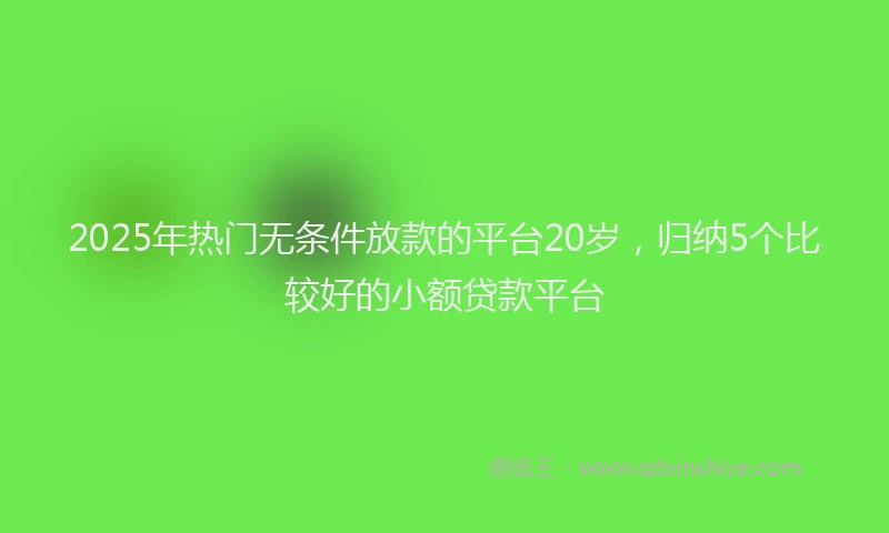 2025年热门无条件放款的平台20岁，归纳5个比较好的小额贷款平台