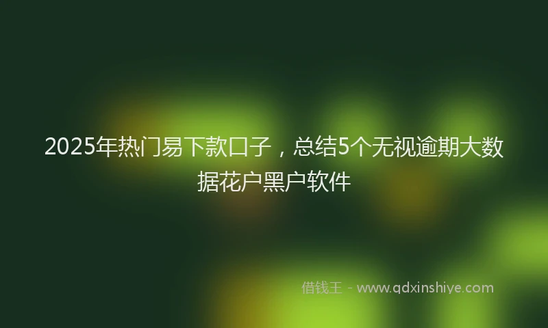 2025年热门易下款口子，总结5个无视逾期大数据花户黑户软件