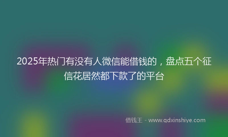 2025年热门有没有人微信能借钱的，盘点五个征信花居然都下款了的平台