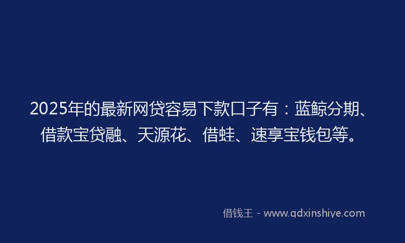 2025年的最新网贷容易下款口子有：蓝鲸分期、借款宝贷融、天源花、借蛙、速享宝钱包等。
