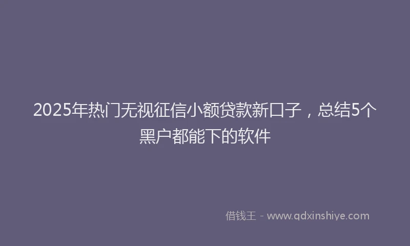 2025年热门无视征信小额贷款新口子，总结5个黑户都能下的软件