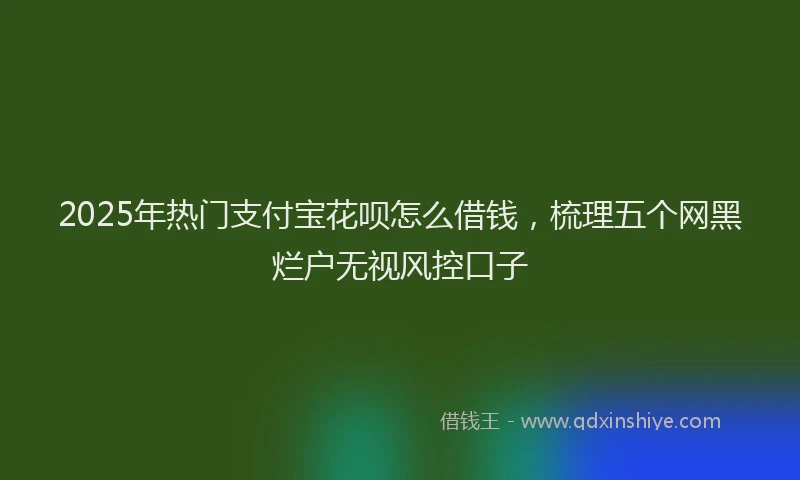 2025年热门支付宝花呗怎么借钱，梳理五个网黑烂户无视风控口子