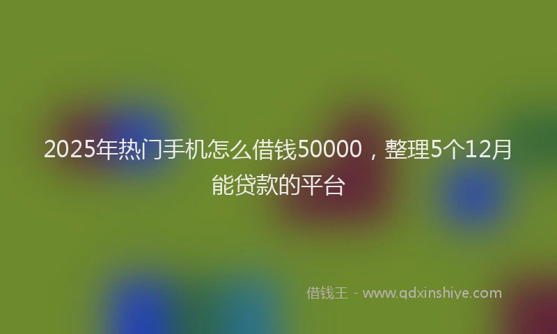 2025年热门手机怎么借钱50000，整理5个12月能贷款的平台
