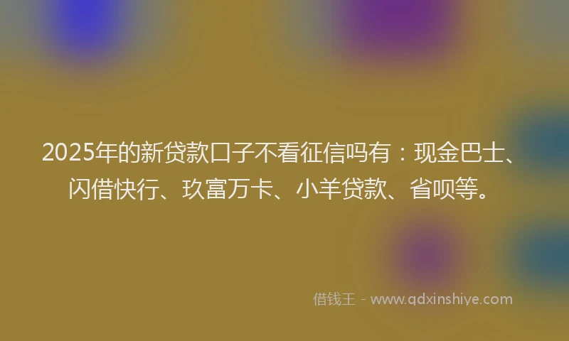 2025年的新贷款口子不看征信吗有：现金巴士、闪借快行、玖富万卡、小羊贷款、省呗等。