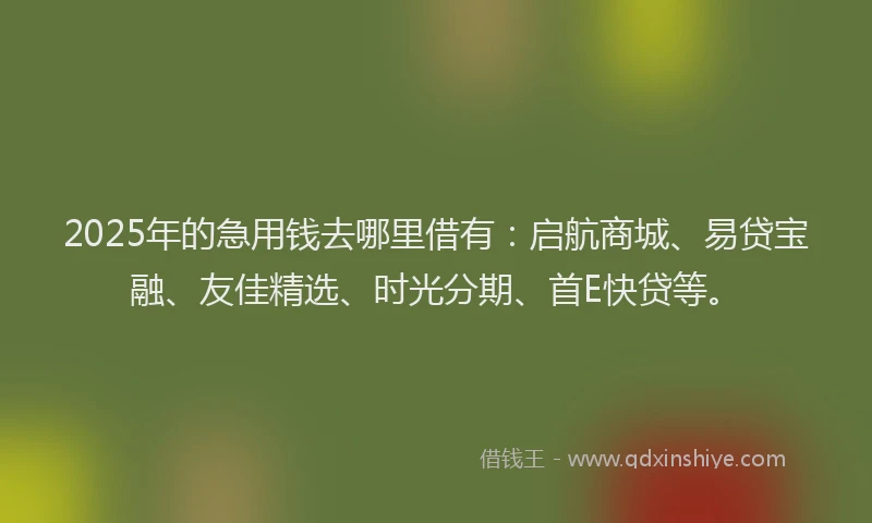 2025年的急用钱去哪里借有：启航商城、易贷宝融、友佳精选、时光分期、首E快贷等。