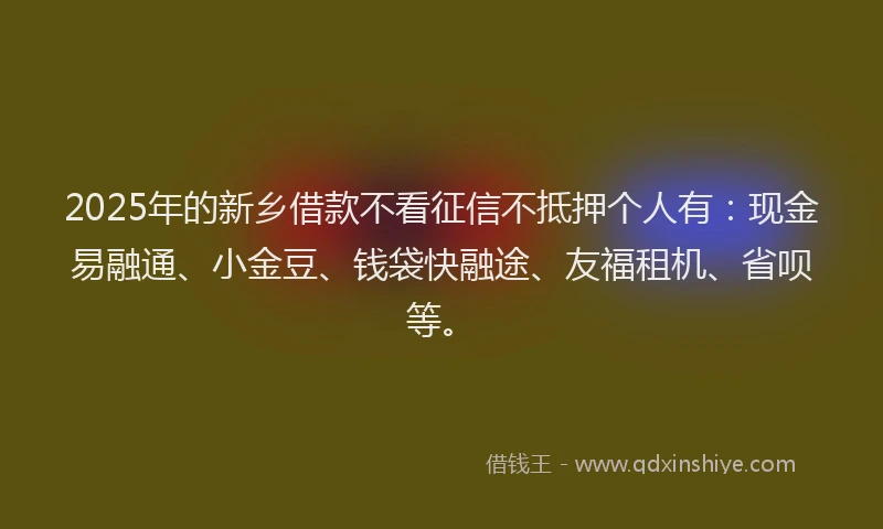 2025年的新乡借款不看征信不抵押个人有：现金易融通、小金豆、钱袋快融途、友福租机、省呗等。