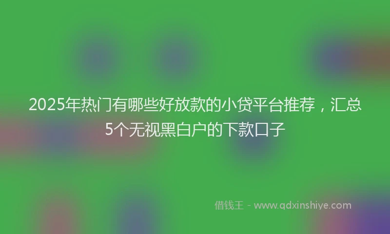 2025年热门有哪些好放款的小贷平台推荐，汇总5个无视黑白户的下款口子