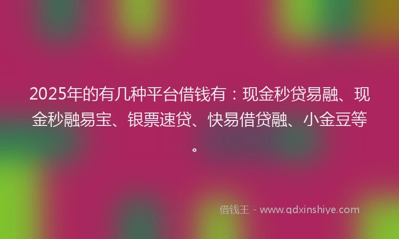 2025年的有几种平台借钱有：现金秒贷易融、现金秒融易宝、银票速贷、快易借贷融、小金豆等。