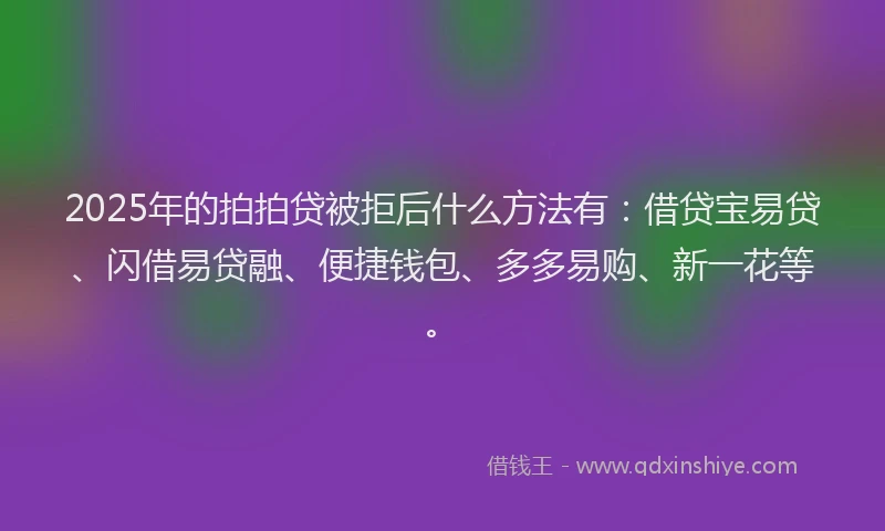 2025年的拍拍贷被拒后什么方法有：借贷宝易贷、闪借易贷融、便捷钱包、多多易购、新一花等。