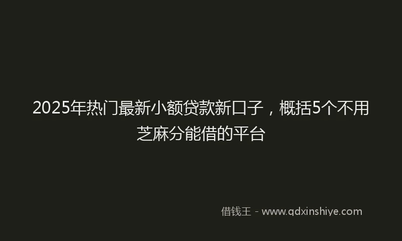 2025年热门最新小额贷款新口子，概括5个不用芝麻分能借的平台