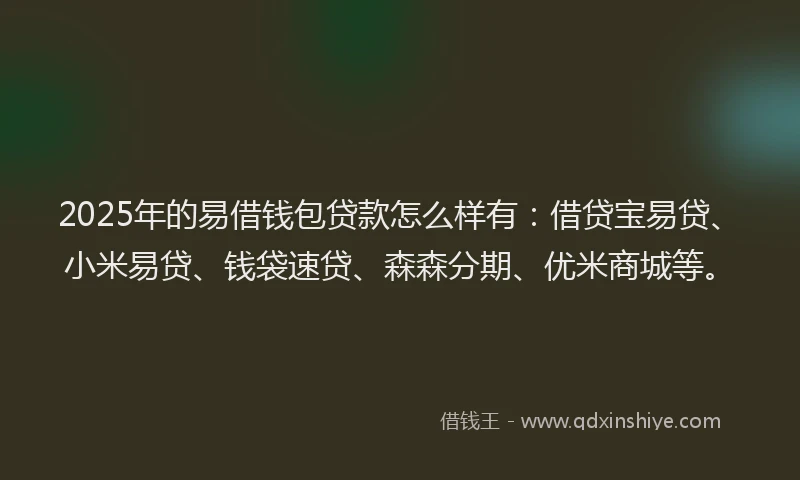 2025年的易借钱包贷款怎么样有：借贷宝易贷、小米易贷、钱袋速贷、森森分期、优米商城等。