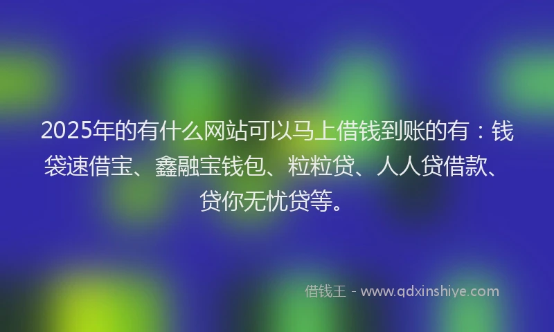 2025年的有什么网站可以马上借钱到账的有：钱袋速借宝、鑫融宝钱包、粒粒贷、人人贷借款、贷你无忧贷等。