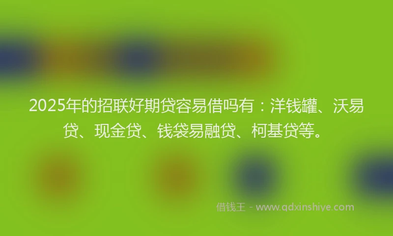 2025年的招联好期贷容易借吗有：洋钱罐、沃易贷、现金贷、钱袋易融贷、柯基贷等。