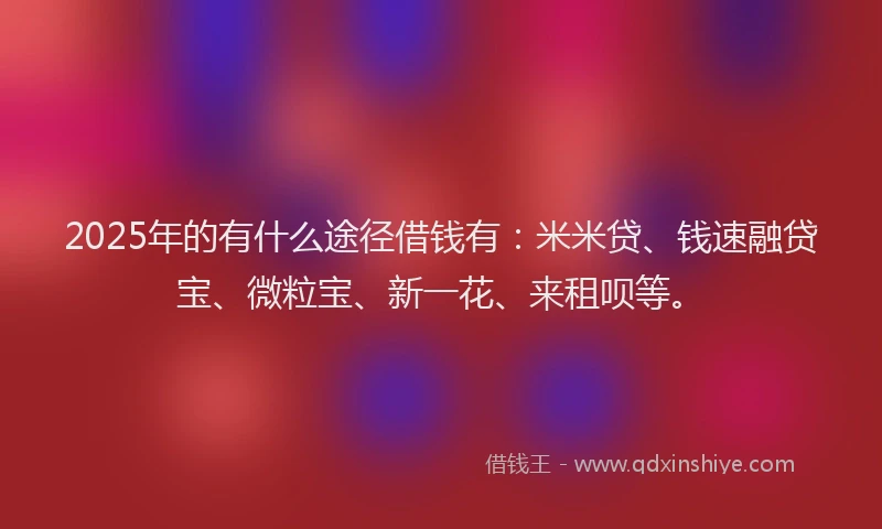 2025年的有什么途径借钱有：米米贷、钱速融贷宝、微粒宝、新一花、来租呗等。