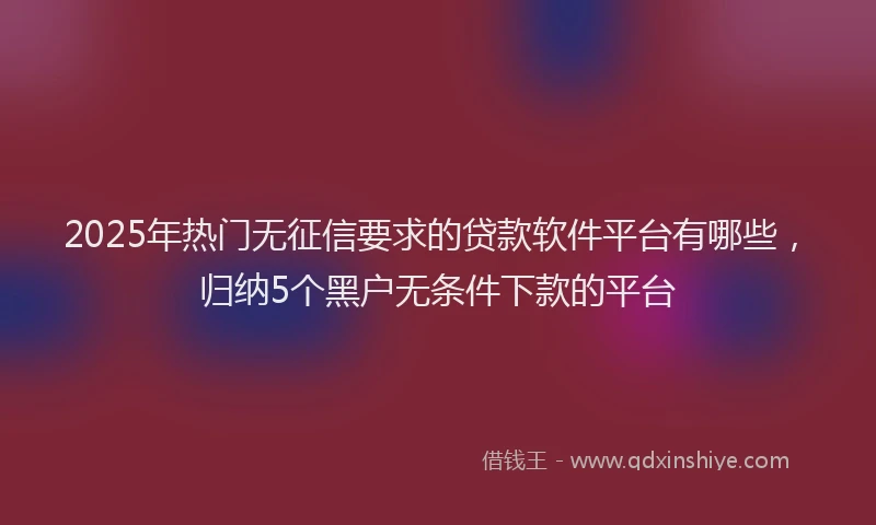 2025年热门无征信要求的贷款软件平台有哪些，归纳5个黑户无条件下款的平台