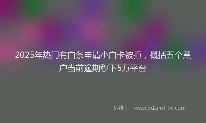 2025年热门有白条申请小白卡被拒，概括五个黑户当前逾期秒下5万平台