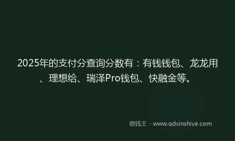 2025年的支付分查询分数有：有钱钱包、龙龙用、理想给、瑞泽Pro钱包、快融金等。