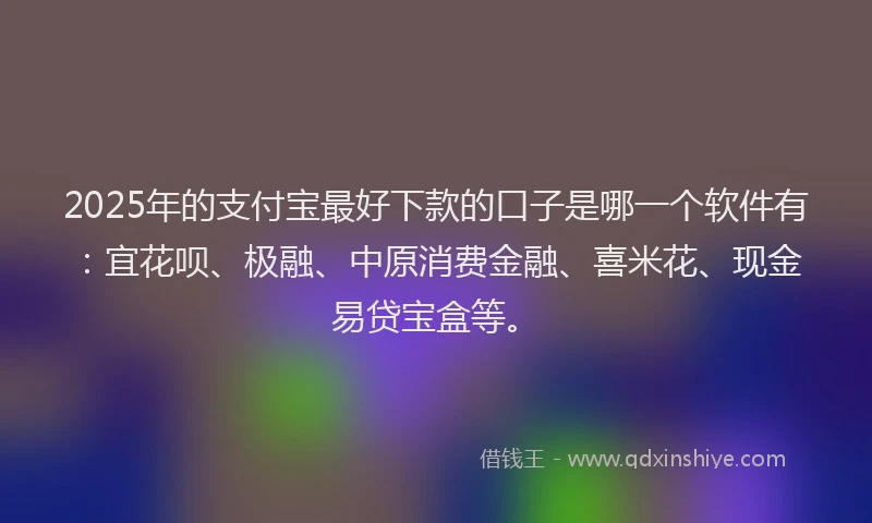 2025年的支付宝最好下款的口子是哪一个软件有：宜花呗、极融、中原消费金融、喜米花、现金易贷宝盒等。