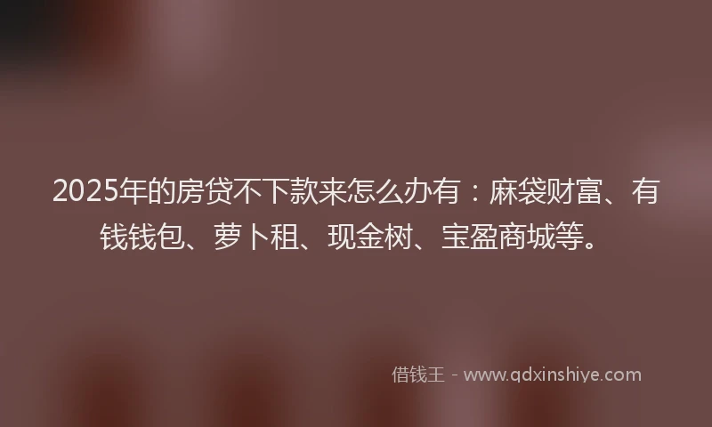 2025年的房贷不下款来怎么办有：麻袋财富、有钱钱包、萝卜租、现金树、宝盈商城等。