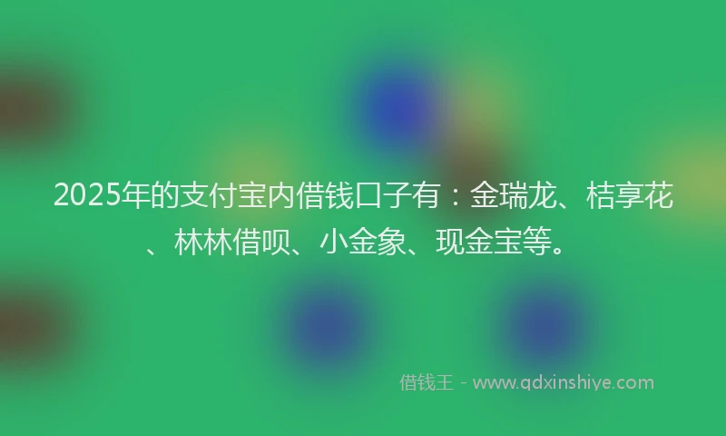 2025年的支付宝内借钱口子有：金瑞龙、桔享花、林林借呗、小金象、现金宝等。