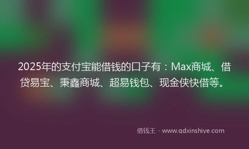 2025年的支付宝能借钱的口子有：Max商城、借贷易宝、秉鑫商城、超易钱包、现金侠快借等。