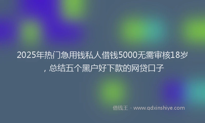 2025年热门急用钱私人借钱5000无需审核18岁，总结五个黑户好下款的网贷口子