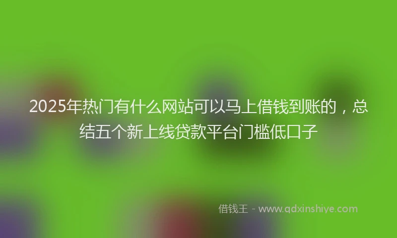 2025年热门有什么网站可以马上借钱到账的，总结五个新上线贷款平台门槛低口子