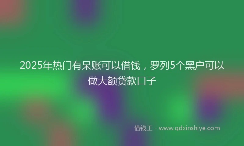 2025年热门有呆账可以借钱，罗列5个黑户可以做大额贷款口子