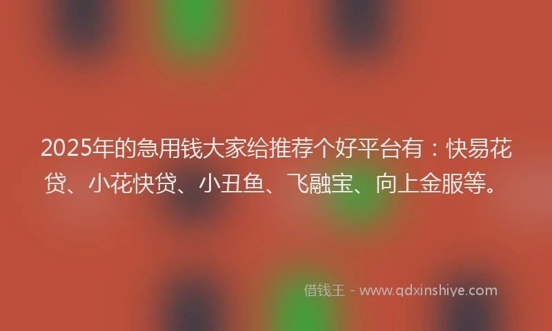 2025年的急用钱大家给推荐个好平台有：快易花贷、小花快贷、小丑鱼、飞融宝、向上金服等。