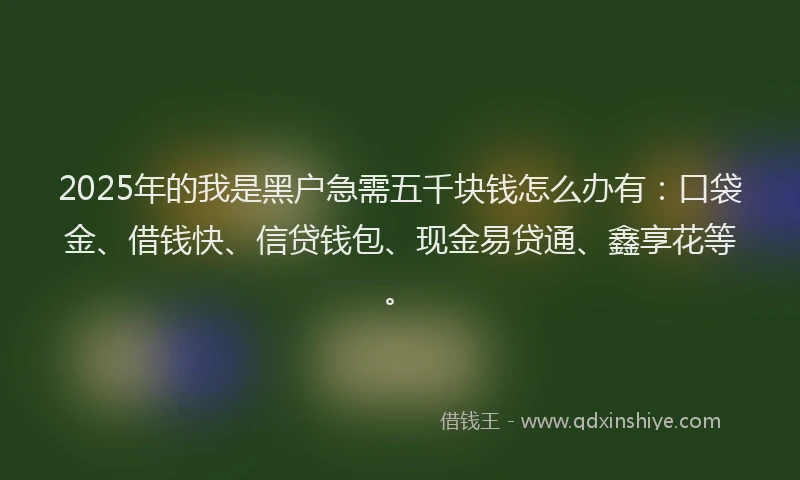 2025年的我是黑户急需五千块钱怎么办有：口袋金、借钱快、信贷钱包、现金易贷通、鑫享花等。