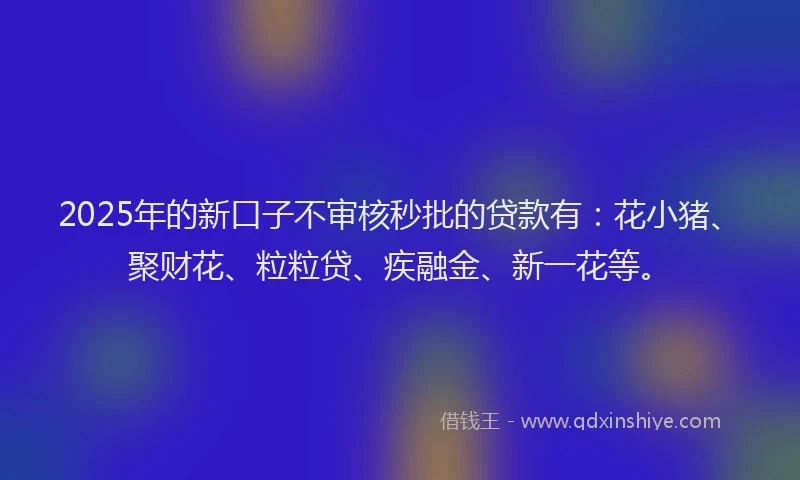 2025年的新口子不审核秒批的贷款有：花小猪、聚财花、粒粒贷、疾融金、新一花等。