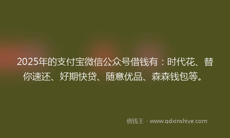 2025年的支付宝微信公众号借钱有：时代花、替你速还、好期快贷、随意优品、森森钱包等。