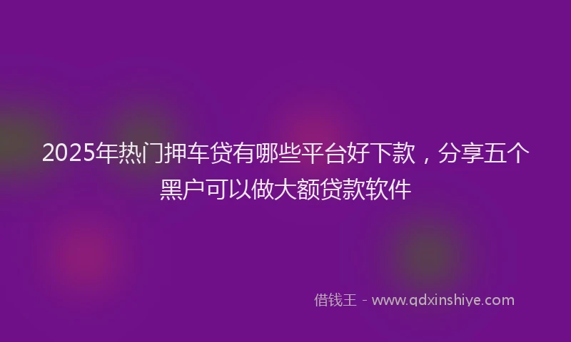 2025年热门押车贷有哪些平台好下款，分享五个黑户可以做大额贷款软件