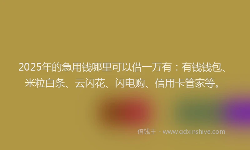 2025年的急用钱哪里可以借一万有：有钱钱包、米粒白条、云闪花、闪电购、信用卡管家等。