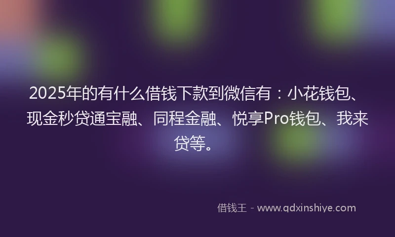 2025年的有什么借钱下款到微信有：小花钱包、现金秒贷通宝融、同程金融、悦享Pro钱包、我来贷等。