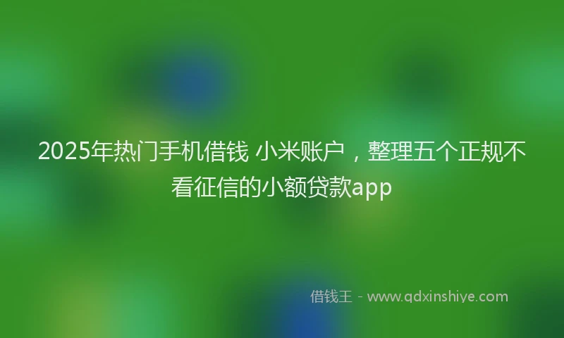 2025年热门手机借钱 小米账户，整理五个正规不看征信的小额贷款app