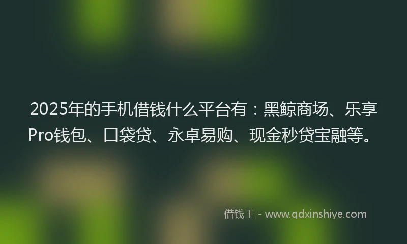 2025年的手机借钱什么平台有：黑鲸商场、乐享Pro钱包、口袋贷、永卓易购、现金秒贷宝融等。