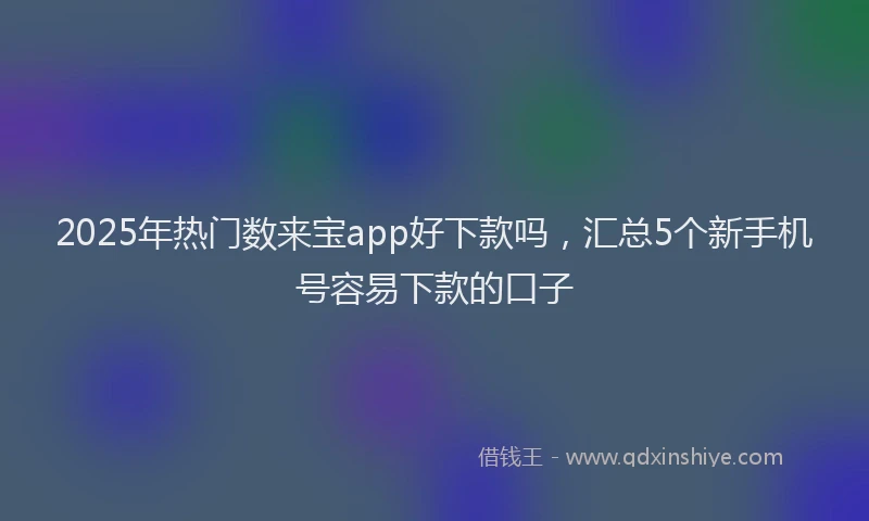 2025年热门数来宝app好下款吗，汇总5个新手机号容易下款的口子