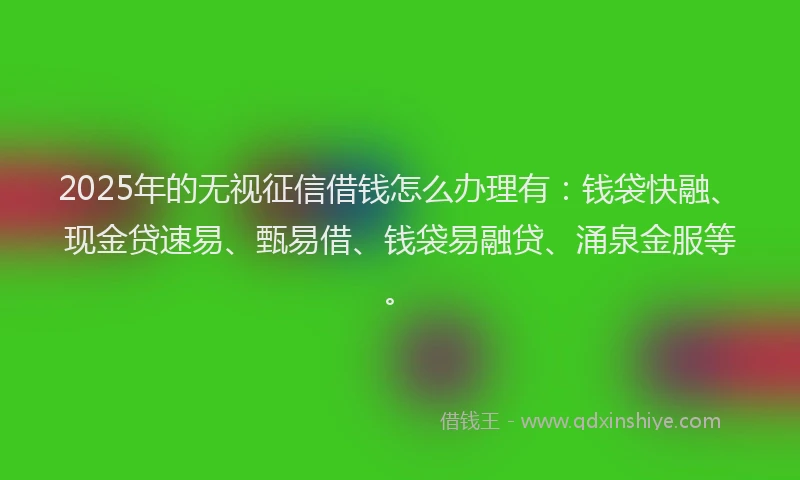2025年的无视征信借钱怎么办理有：钱袋快融、现金贷速易、甄易借、钱袋易融贷、涌泉金服等。