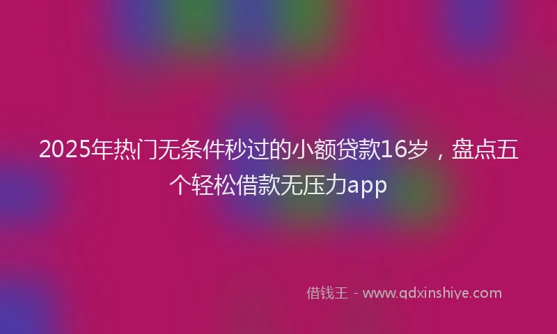 2025年热门无条件秒过的小额贷款16岁，盘点五个轻松借款无压力app