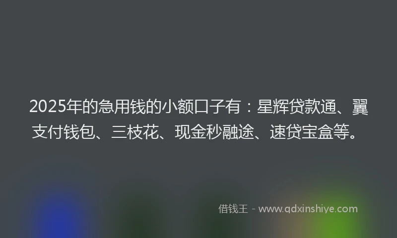 2025年的急用钱的小额口子有：星辉贷款通、翼支付钱包、三枝花、现金秒融途、速贷宝盒等。