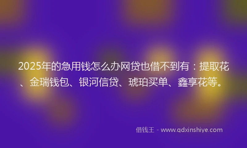 2025年的急用钱怎么办网贷也借不到有：提取花、金瑞钱包、银河信贷、琥珀买单、鑫享花等。
