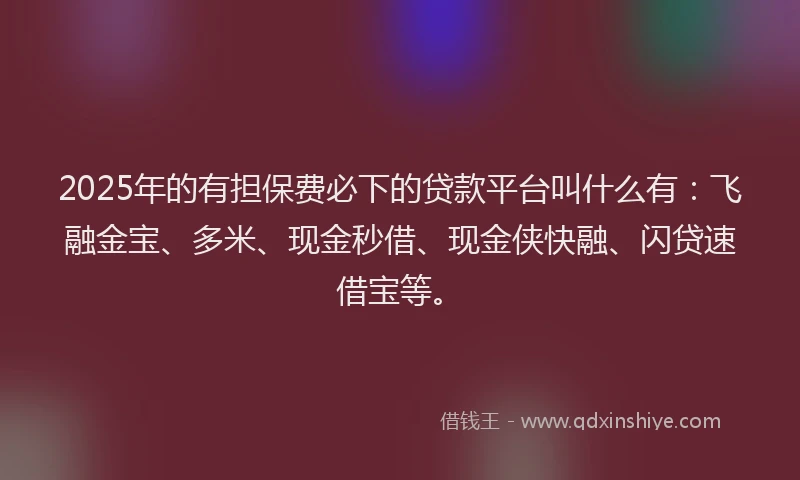 2025年的有担保费必下的贷款平台叫什么有：飞融金宝、多米、现金秒借、现金侠快融、闪贷速借宝等。