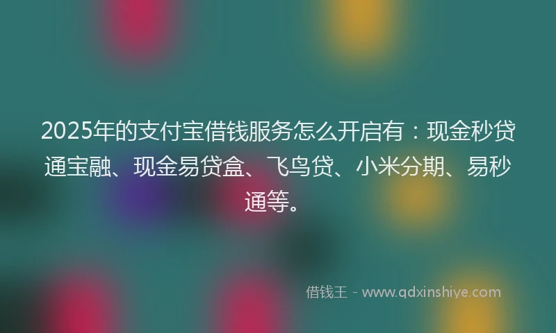 2025年的支付宝借钱服务怎么开启有：现金秒贷通宝融、现金易贷盒、飞鸟贷、小米分期、易秒通等。