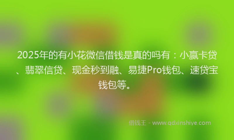 2025年的有小花微信借钱是真的吗有：小赢卡贷、翡翠信贷、现金秒到融、易捷Pro钱包、速贷宝钱包等。